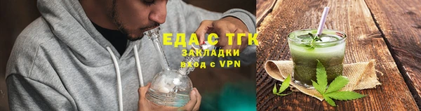 тгк Инсар