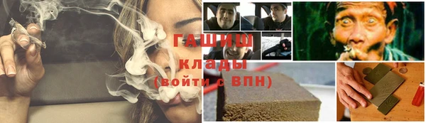 тгк Инсар