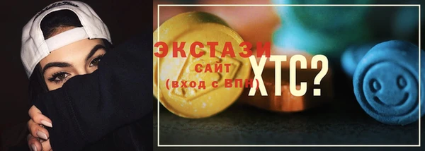 тгк Инсар