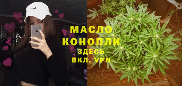тгк Инсар