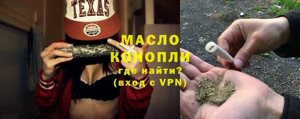 тгк Инсар
